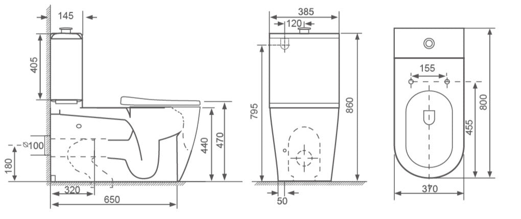 Siena Rimless Back-to-Wall Care Toilet Suite