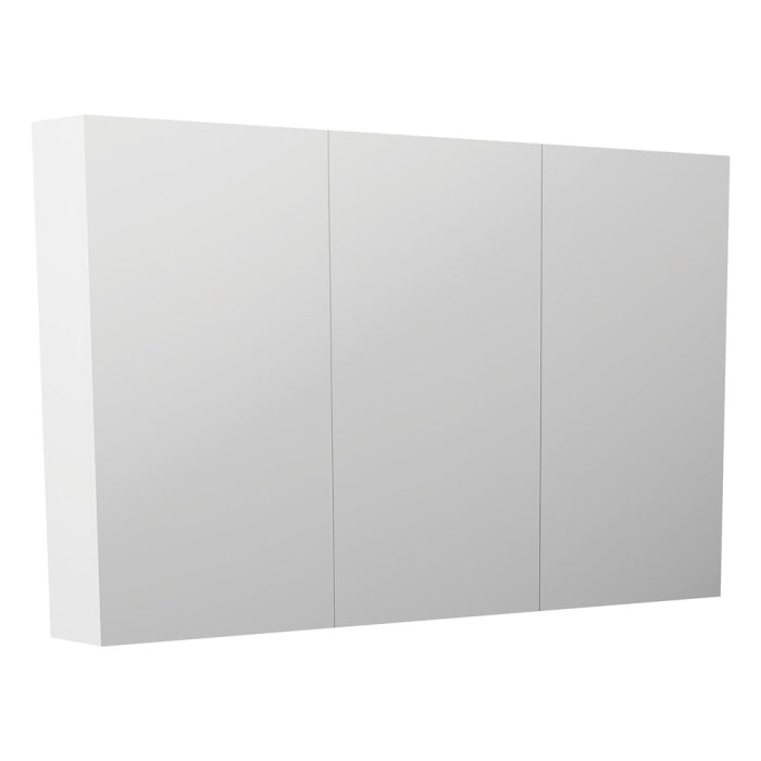 Fienza Pencil Edge Mirror Cabinet image 10